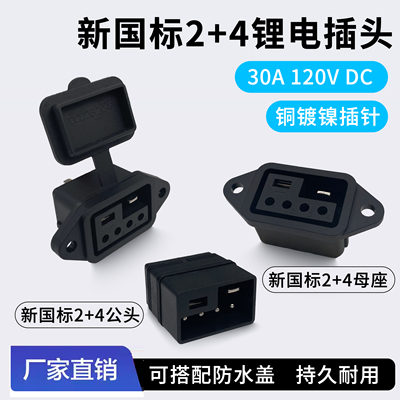 锂电池充电头新国标2+4