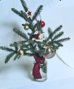 真松鲜切诺贝松盆栽圣诞节装饰花松枝天然鲜活真松树diy礼物摆件