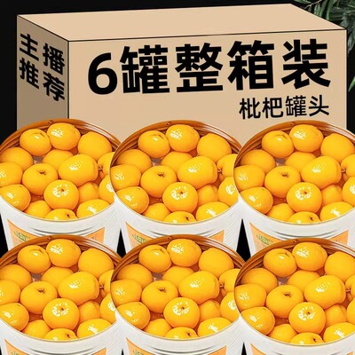 枇杷罐头新鲜糖水水果罐头整箱老牌子鲜果即食夏日饮品商用