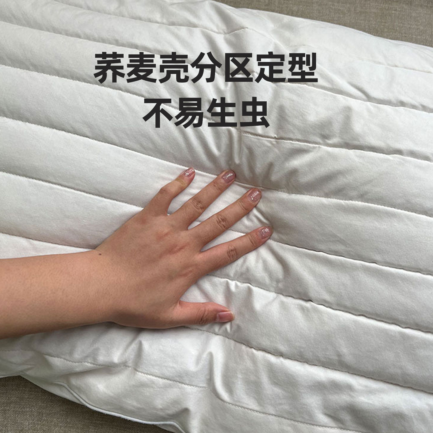 酒店专用荞麦壳羽丝棉枕芯软硬双面枕头男士护颈椎助睡眠透气不闷