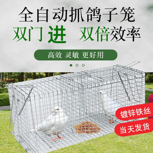 捕鸽神器全自动补鸽子笼天落笼只进不出户外抓鸽双机关扑鸽器野外