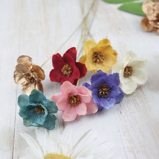 银铃花海葵花手工拼接干花瓜子花家居装DIY永生花束插花婚礼布置