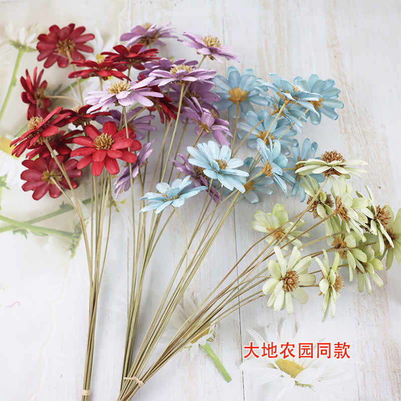 永生花拼接瓜子花海葵花家居木片软装ins风拍摄道具瓶DIY拉布布,家居饰品,干花/花瓣/干花包/干树枝,淘宝优惠券,粉丝福利购,淘宝优惠卷