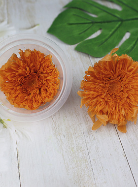 毕业季永生花泰迪向日葵油太阳花