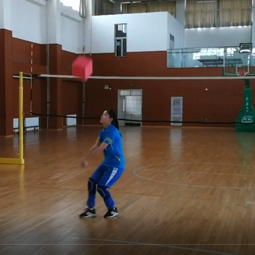 SOEZmm一传不规则体SPASIR1 练习垫球球感排球趣味训练辅助器材