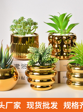 北欧创意镀金陶瓷花盆家居摆设莫兰迪多肉绿植兰花盆容器种植
