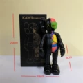 Black Box 20cm - Anatomy