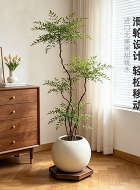 实木移动滑轮花盆底座绿植花盘托