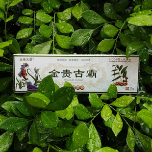 【正品】金贵古霸草本通络膏草本抑菌膏通络腰腿颈肩风湿疼痛