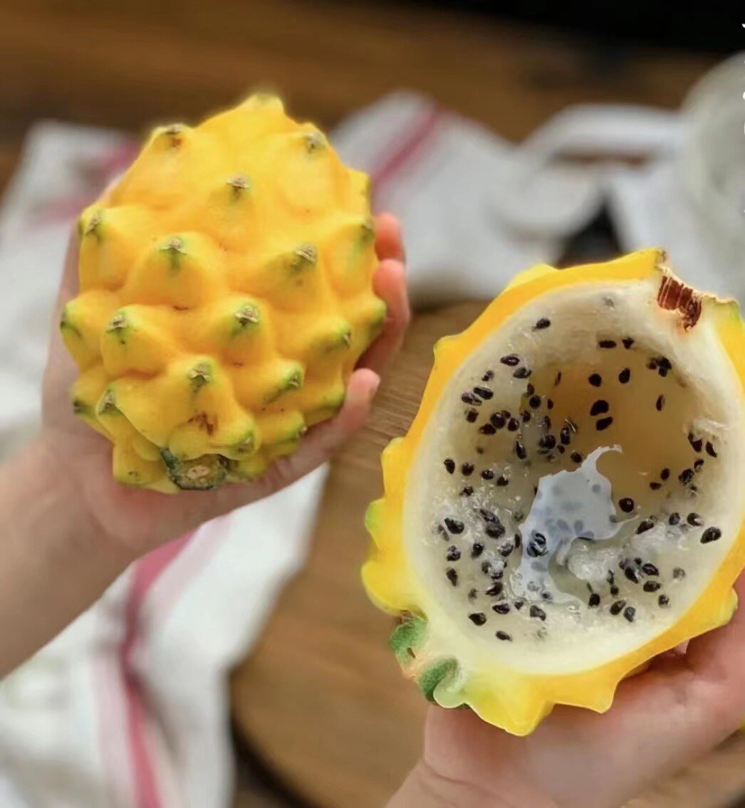 【2斤以上顺丰包邮】海南云南麒麟果燕窝果礼盒装新鲜黄皮火龙果