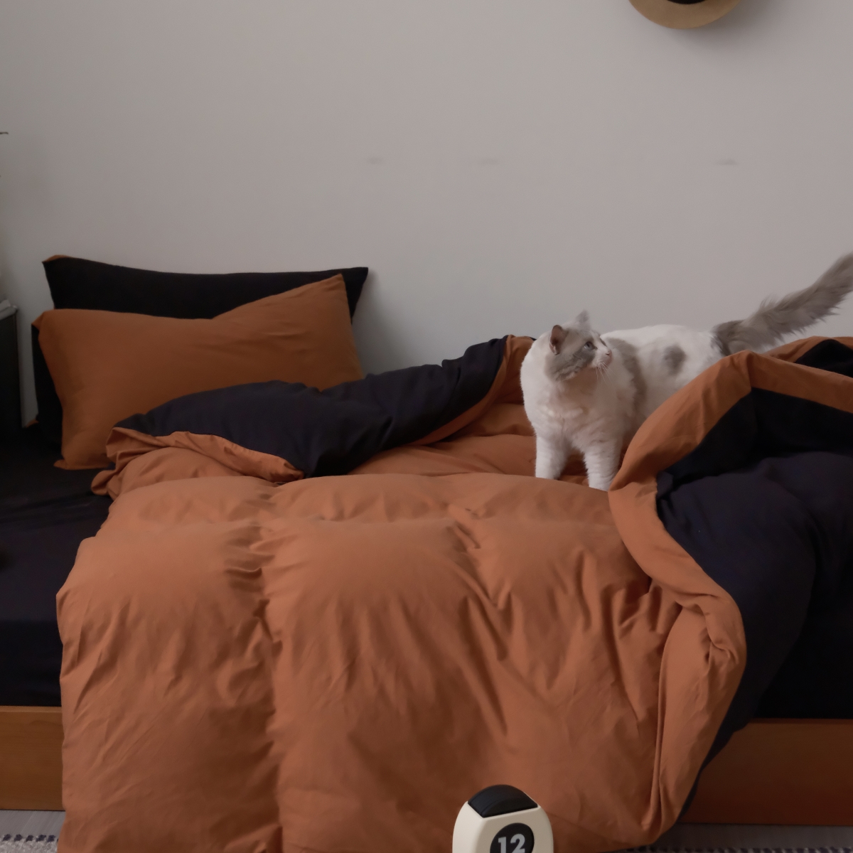 全棉柔软针织棉简约撞色四件套