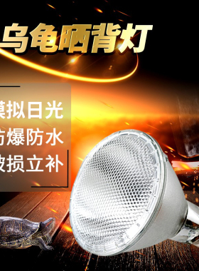 瑞皮Reptizoo爬虫爬宠蜥蜴鬃狮UVA加热灯乌龟晒背灯聚光卤素灯泡