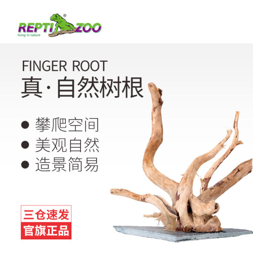 新派宠物爬宠树根造景爬箱