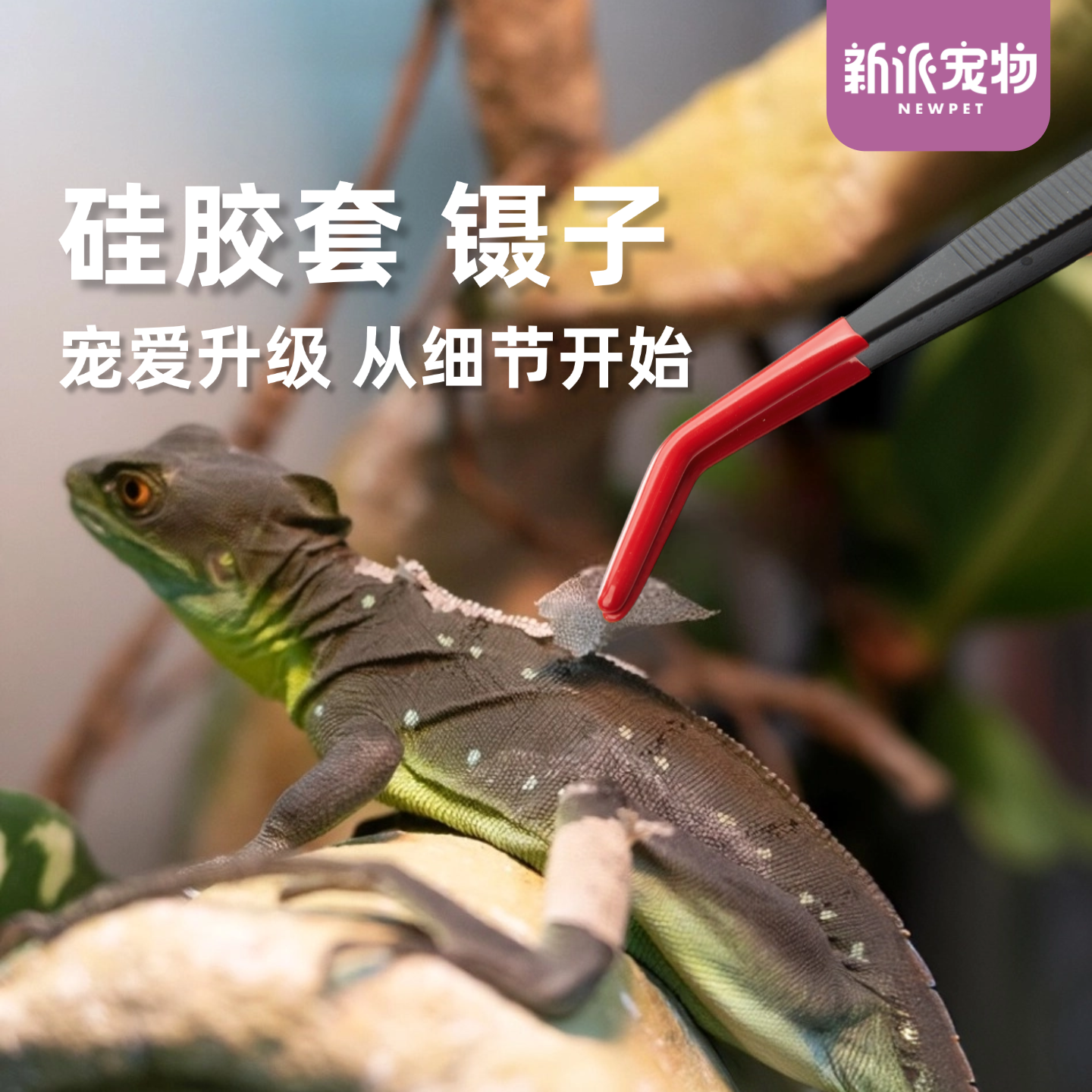 新派爬虫喂食镊子爬宠清洁蜕皮夹