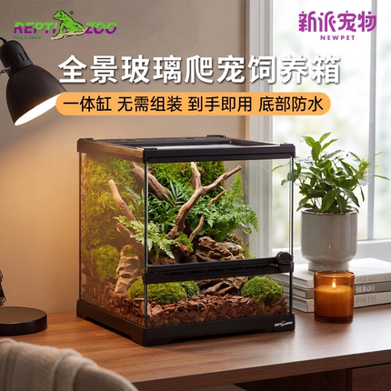新派reptizoo爬宠饲养箱变色龙蜥蜴角蛙守宫宠物蛇睫角玻璃爬虫缸