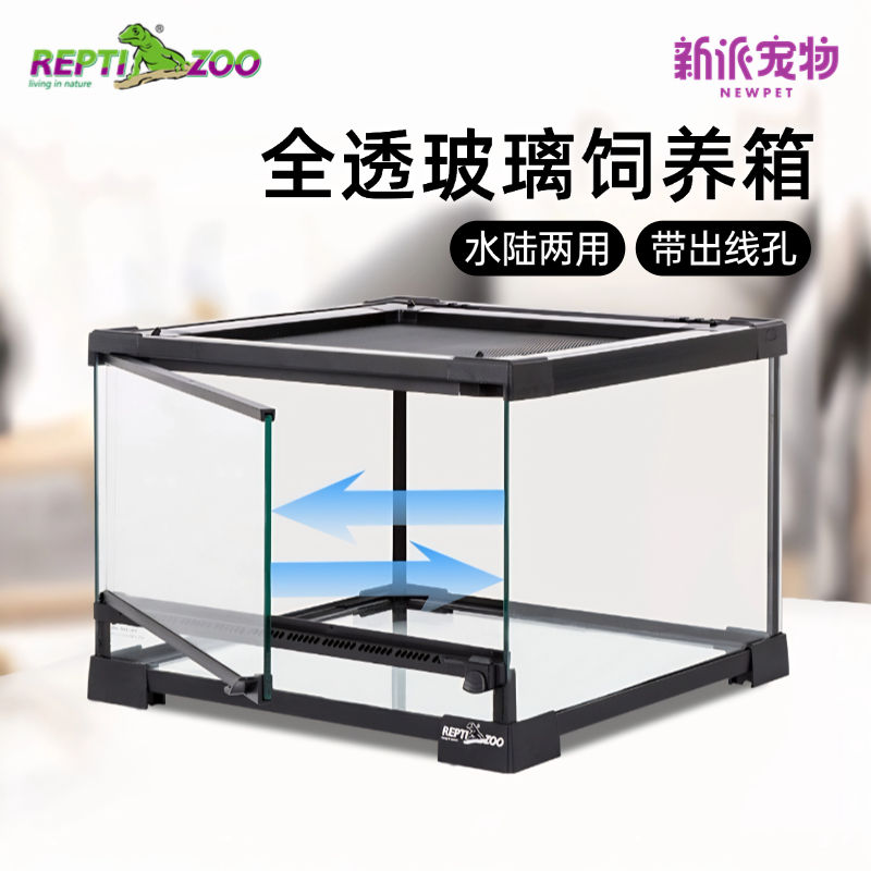 新派宠物reptizoo饲养变色龙蜥蜴