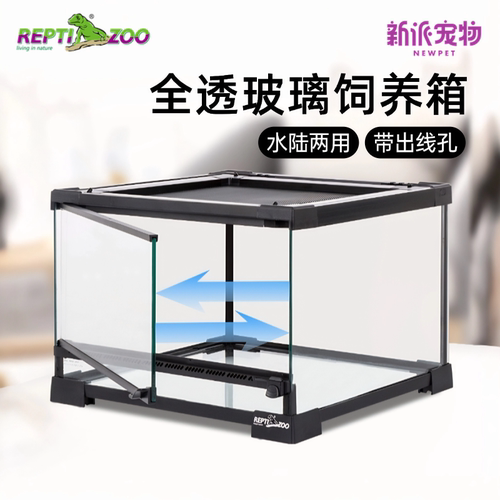 新派宠物reptizoo饲养变色龙蜥蜴