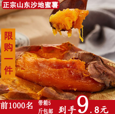 山东特产现挖宝宝辅食沙地新鲜红薯有赠品