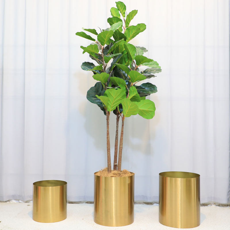 W11lcnoagdbuhm W11lcnoagdbuhm