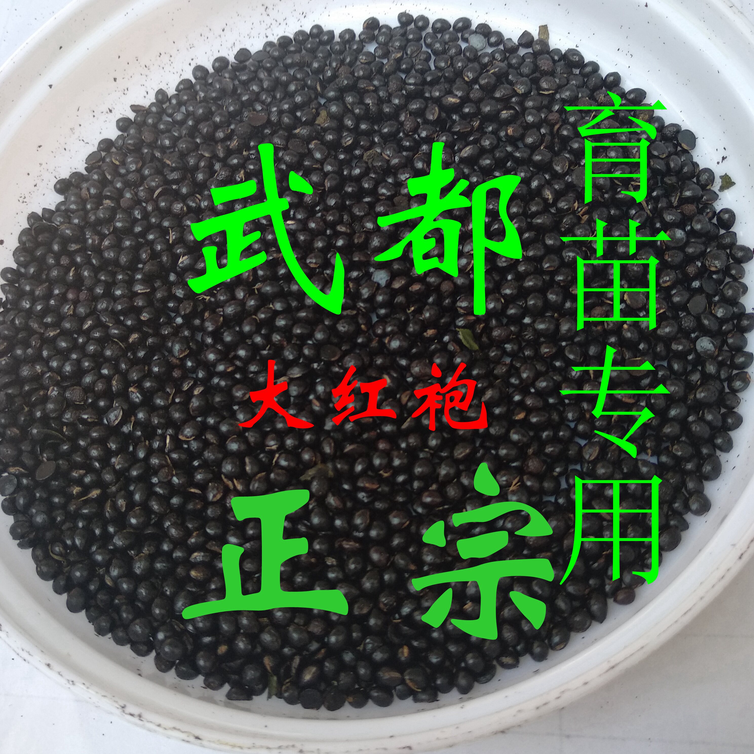 优质花椒种子大红袍伏椒高产图片