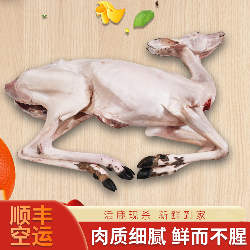 新鲜带皮鹿肉5斤整只带皮吉林梅花鹿鹿肉鹿白条鹿排整头 鹿腿肉