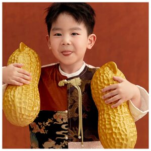 春节喜庆儿童全家福亲子拍照道具装饰摆件新年好事发生金色花生