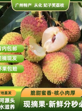 【产地直发】新鲜荔枝丨产地直发