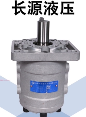 液压齿轮油泵CBT-F563-BFHL CBT-F563-BT1HL 1010108合肥长源HCHC