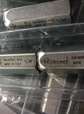 Oleoweb  意大利进口液压单向阀 VUR140  止回阀  逆止阀STUF140
