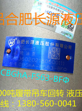 合肥长源HCHC液压CBGhA-F563-BFΦ三一700吨履带吊车回转齿轮油泵