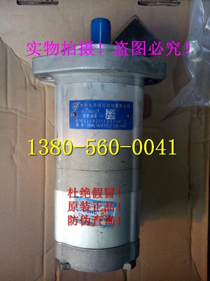 农用车玉米收割机合肥长源液压双联泵 CBWLTA-F312/F308-ALφ