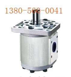 SAIYUANCBN-F520-BLH齿轮泵