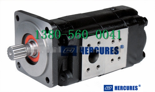 海克力斯HP51B478BIJM20-7BRAB06-1齿轮泵Hercules Pump Co.Ltd