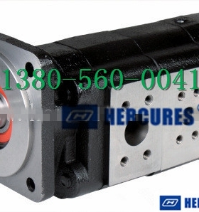 海克力斯HP51B478BIJM20-7BRAB06-1齿轮泵Hercules Pump Co.Ltd