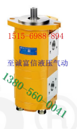 合肥长源原装正品齿轮油泵CBHLB-F563/F520-AFφL假一罚十 五金/工具 液压机/油压机 原图主图