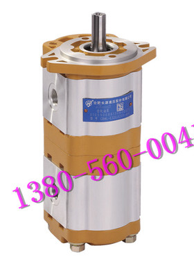 合肥长源双联齿轮泵 CBWL-E310/E306-CLP  CFH 齿轮油泵 合肥赛源