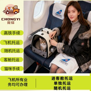 全国空运猫咪宠物托运飞机航空高铁检疫手续宠物进客舱托运疫苗本