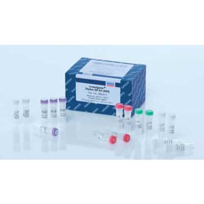 Qiagen/凯杰382417试剂盒