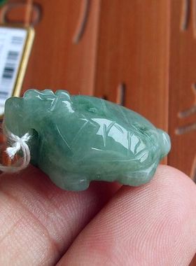98211玉琳阁实物拍图缅甸玉天然A货翡翠玉小个款龙头龟小龙龟吊坠
