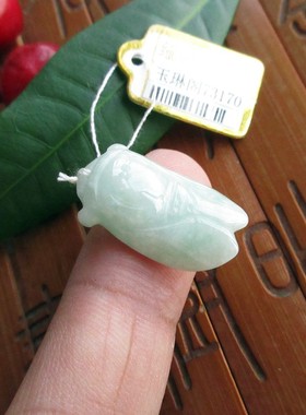 保真金蝉玉蝉小吊坠D73170知了一鸣惊人缅甸玉天然A货翡翠玉实拍