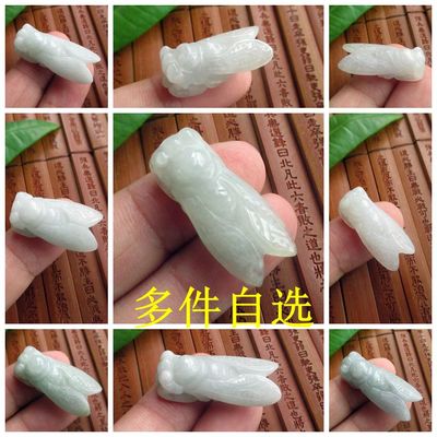 金蝉玉蝉小吊坠一鸣惊人实物拍