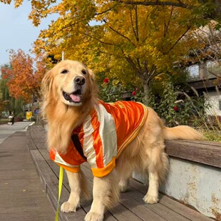 新年装金毛棒球服史迪奇刺绣夹克外套二哈萨摩大狗宠物衣服亲子款