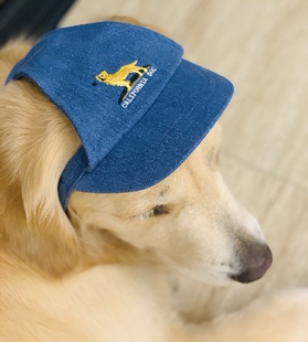 【DOG DEPT】刺绣棒球牛仔帽金毛狗狗拍照写真宠物大狗帽子可亲子