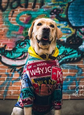 断码福利9码  10码 复古车牌网眼帽衫大狗衣服金毛杜宾拉不拉多