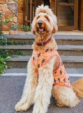 大型犬夏装剃毛背心凉感不粘毛