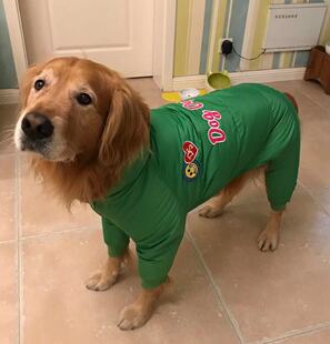 DOG 大狗真羽绒杜宾灵缇短毛老年犬冬装 四腿裤 大型犬棉衣保 DEPT