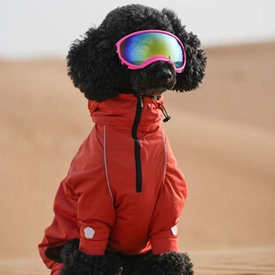 【DOG DEPT紧身户外雨衣】慎买!瘦长身形短毛犬杜宾灵缇马犬魏玛