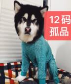 12码 孤品处理集合 阿拉斯加大白熊90斤以上狗狗胸围100左右穿着