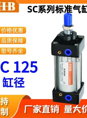 SC125标准气缸40X50X75X100X125X200X350X150X500X700X1000-S带磁
