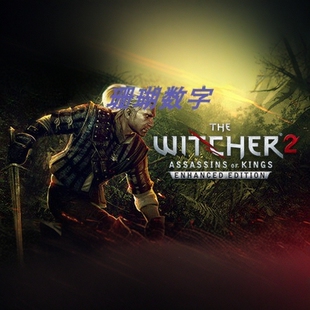 巫师2 国王刺客增强版 免 steam 离线版 学习版 全DLC 中文 3.5.0